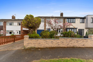 Photo 66- click for photo gallery